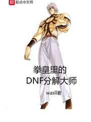 《拳皇里的DNF分解大师》全本TXT下载-作者：wasll