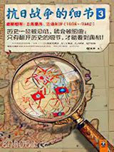《抗日战争的细节3》全本TXT下载-作者：魏风华