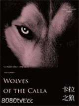 《黑暗塔5：卡拉之狼》全本TXT下载-作者：斯蒂芬·金