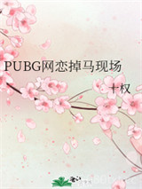《PUBG网恋掉马现场》全本TXT下载-作者：十权