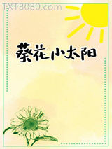 葵花小太阳图片
