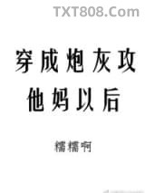 《穿成炮灰攻他妈以后》全本TXT下载-作者：糯糯啊