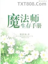 《魔法师生存手册》全本TXT下载-作者：悠悠仙