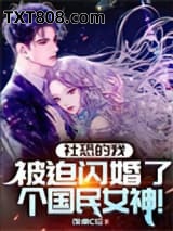 《社恐的我，被迫闪婚了个国民女神》全本TXT下载-作者：饭桌C位