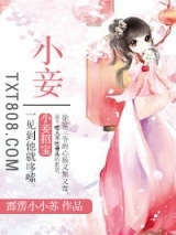 《小妾》全本TXT下载-作者：霹雳小小苏