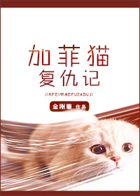 《加菲猫复仇记》全本TXT下载-作者：金刚圈